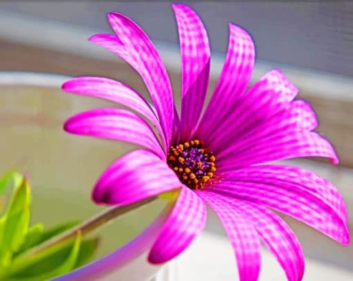 Superb Purple Flower paint by numbers