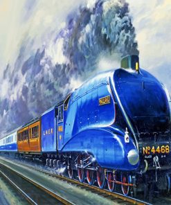 The Mallard Liner Train paint by numbers