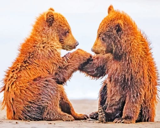 Two Baby Bears On Beach paint by numbers