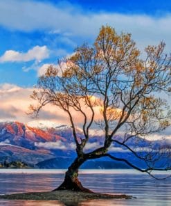 Wanaka Tree Paint By Numbers