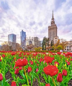 Warsaw Palace Of Culture And Science