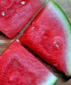 Watermelon Fruit Slices paint by numbers