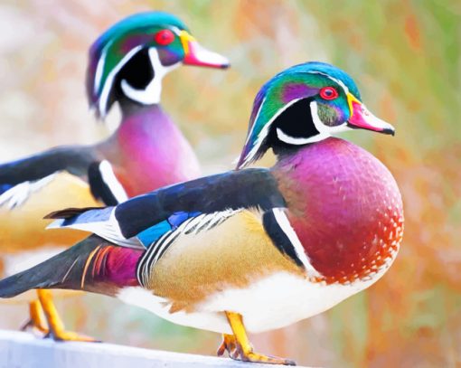 Wood Ducks paint by numbers