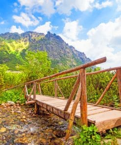 Wooden Forest Bridge