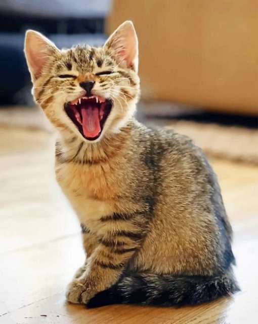 Yawning Cat