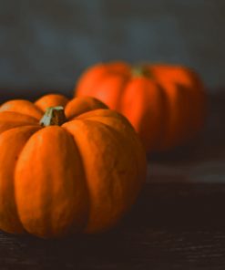 Yellow Pumpkins paint by numbers