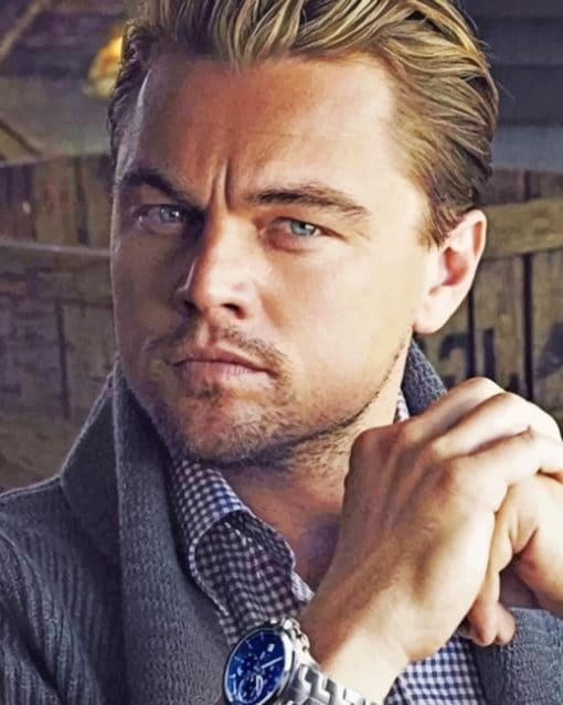 Actor Leonardo Dicaprio paint by numbers