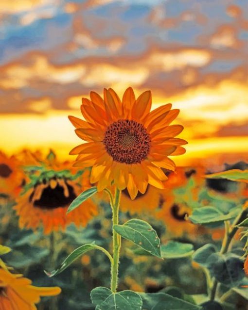 Aesthetic Sunflower paint by numbers