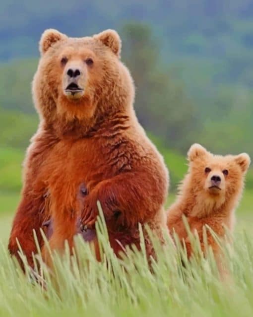 Alaska Brown Bear And Cub paint by numbers