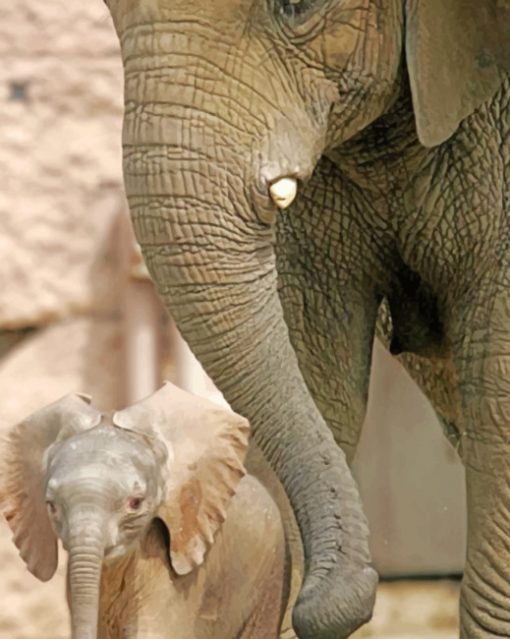 Baby Elephant With Mother paint by numbers