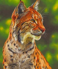 Big Cat In Forest paint by numbers