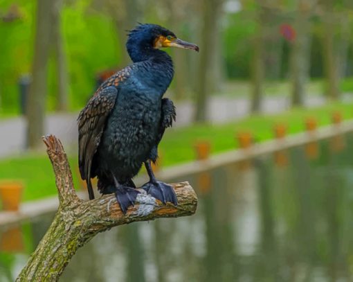 Black Bird Perch On Tree Branch paint by numbers