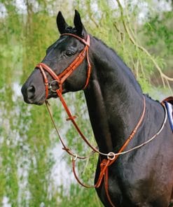 Black Horse paint by numbers