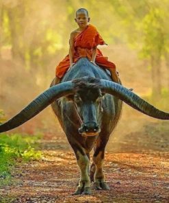 Boy Monk Riding Buffalo paint by numbers