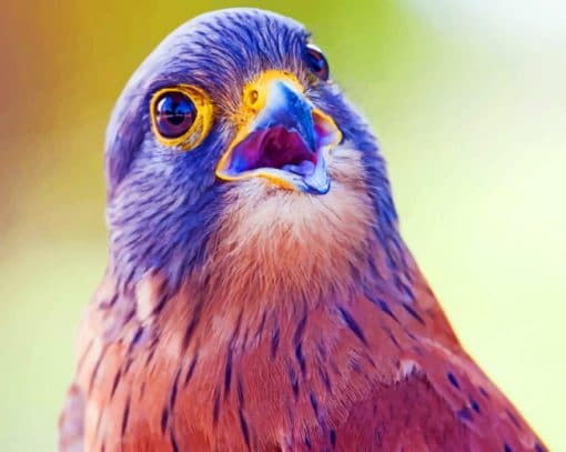 Brown And Purple Bird paint by numbers