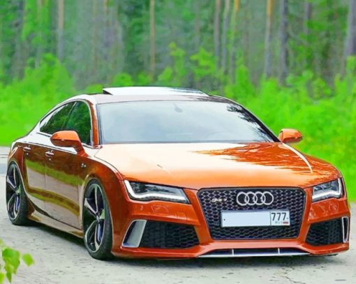 Brown Audi Sport Car paint by numbers