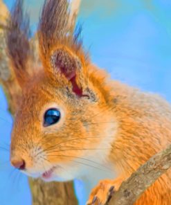 Brown Squirrel On Branch paint by numbers