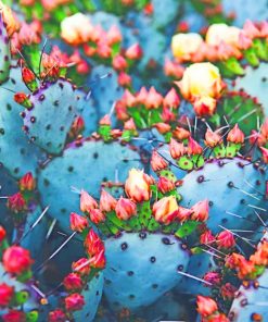 Cactus Flowers paint by numbers