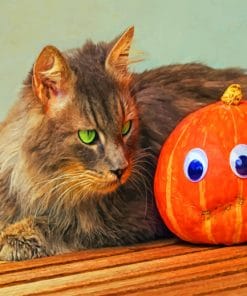 Cat With Jack O Lantern paint by numbers