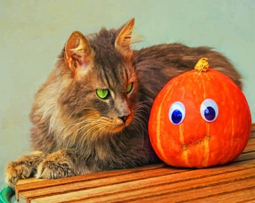 Cat With Jack O Lantern paint by numbers