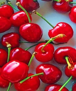 Sweet Cherry paint by numbers