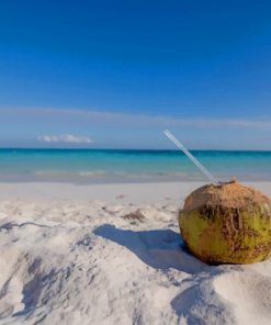 Coconut Drink On Beach paint by numbers