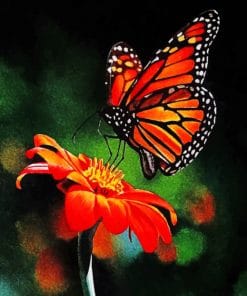 Monarch Butterfly Paint By Numbers