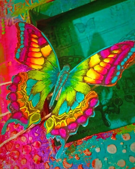 Colorful Butterfly Insect paint by numbers