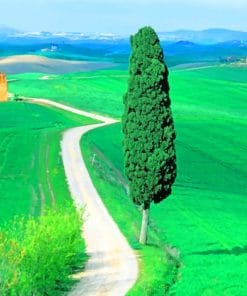 Country Road Tuscany Italy paint by numbers