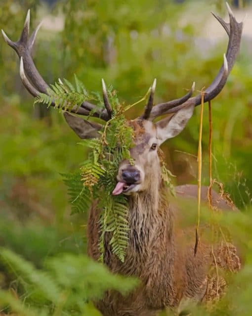 deer In The Forest paint by numbers