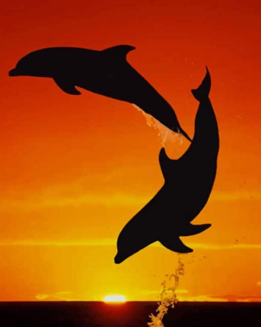 Dolphins Jumping In The Sunset paint by numbers