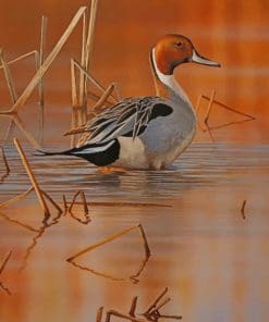 Duck In River paint by numbers