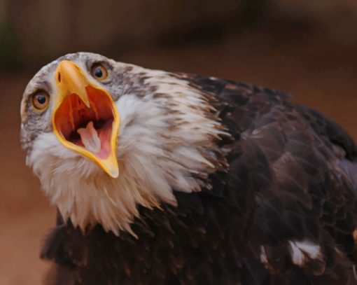 Eagle Bird Shouts paint by numbers