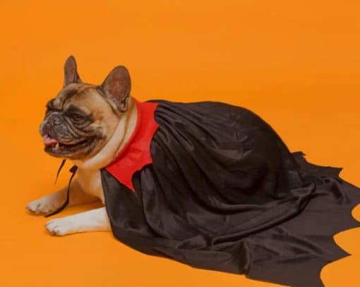 French Bulldog In Vampire Cape paint by numbers