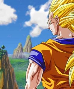 Goku Super Saiyan Three Transform paint by numbers