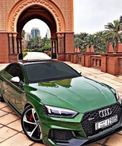 Green Audi paint by numbers