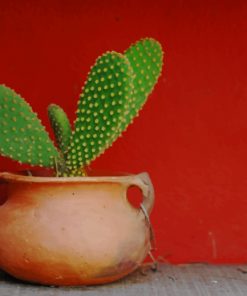 Green Cactus In Pot paint by numbers