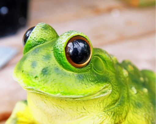 Green Peacock Tree Frog paint by numbers