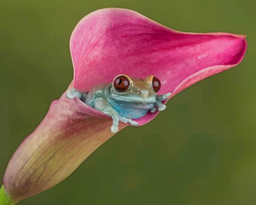 Green Tree Frog On A Pink Calla Lily paint by numbers