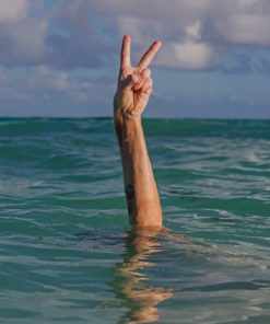 Hands Peace Sign In Water paint by numbers