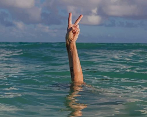 Hands Peace Sign In Water paint by numbers