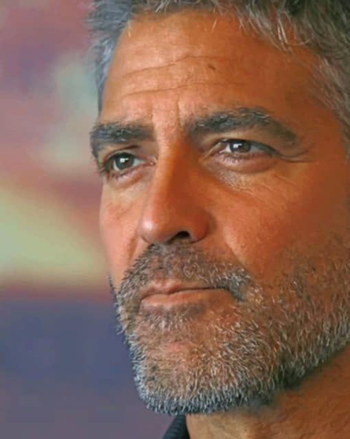 Handsome George Clooney paint by numbers