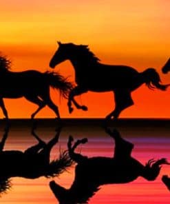 Horses Galloping In The Sunset paint by numbers