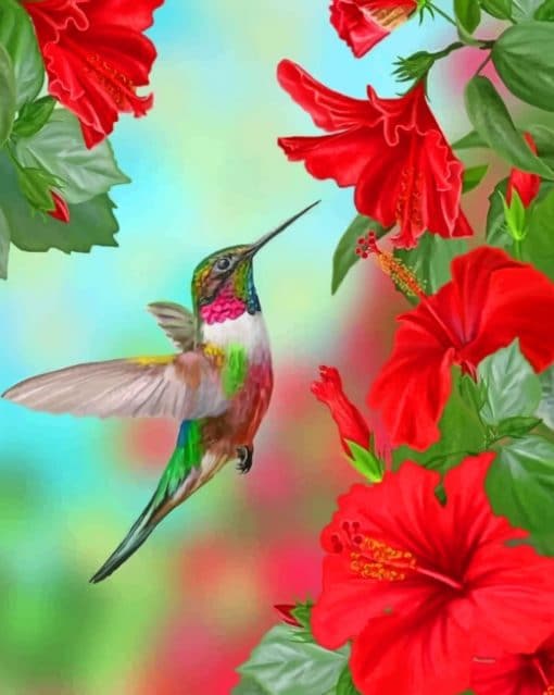 Humming Bird paint by numbers