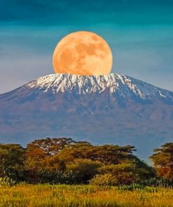 kilimanjaro Mountain Paint By Numbers