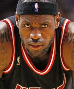 Lebron James Nba Player paint by numbers