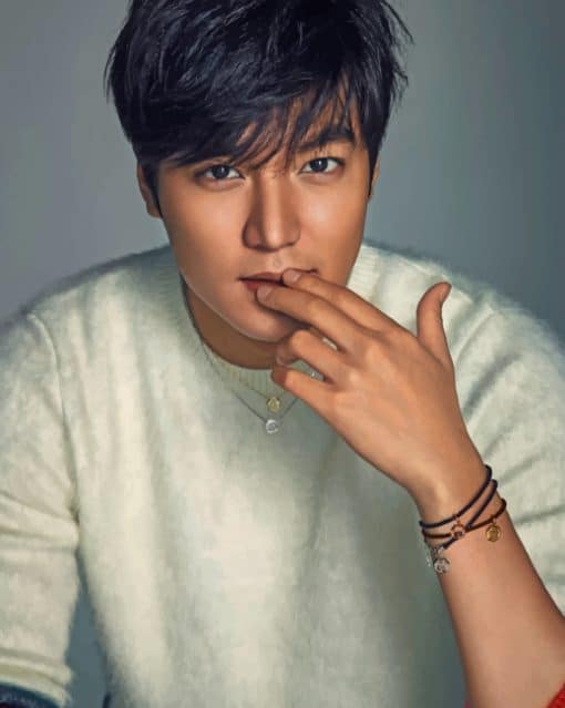 Lee Min Ho Portrait paint by numbers