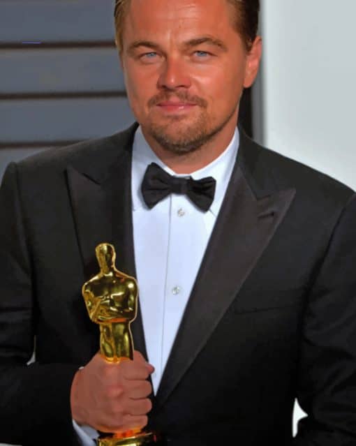 Leonardo Dicaprio Oscar paint by numbers