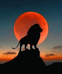 Lion Sunset paint by nnumbers