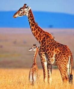 Mommy And Baby Giraffe In Savanna paint by numbers